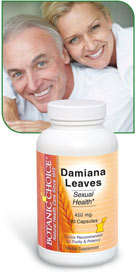 Damiana Leaves Capsules 450 mg 90 capsulesnohtin Damiana Leaves Capsules 450 mg 90 capsulesnohtin