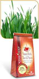 Catnip Herb Tea 8 oz