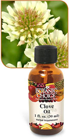 Clove Essential Oil 1 oz