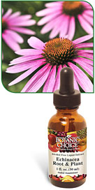 Echinacea Root / Plant Liquid Extract 1 oznohtin Echinacea Root / Plant Liquid Extract 1 oznohtin