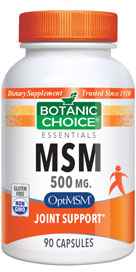 MSM 500 mg 90 capsules
