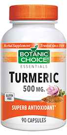 Turmeric 500 mg 90 capsules