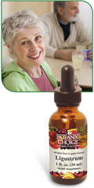 Ligustrum Liquid Extract 1 oznohtin Ligustrum Liquid Extract 1 oznohtin