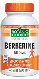 Berberine 500 Mg 60 Vegetarian Capsulesnohtin Berberine 500 Mg 60 Vegetarian Capsulesnohtin