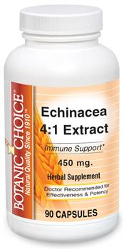 Echinacea Herbal Extract Benefits Healthy Immune System