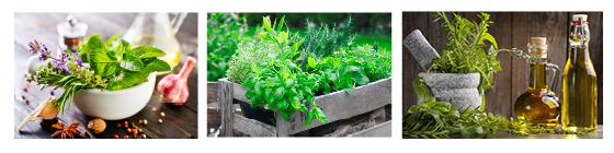 Refer Your Friend to receive 15% off Your Next Purchase of Vitamins, Herbal Remedies, and Nutritional Supplements