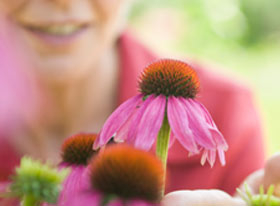 Echinacea Herbal Supplements