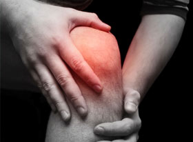 Nutritional Support for healthy Joints