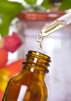 Buy Liquid Extracts at Discount Prices