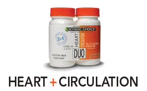 duo heart + circulation