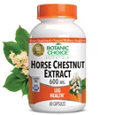 Botanic Choice - Horse Chestnut Extract 600 mg. - 60 capsules