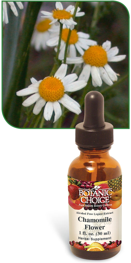 Botanic Choice Chamomile Flower Liquid Extract, 1 Oz eBay