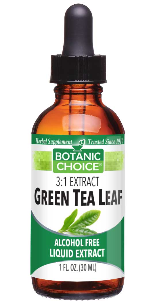 3:1 extract green tea leaf alcohol free liquid extract