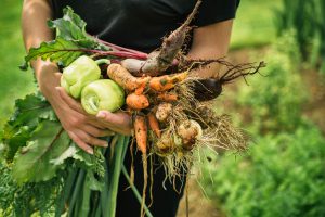 clean ingredients