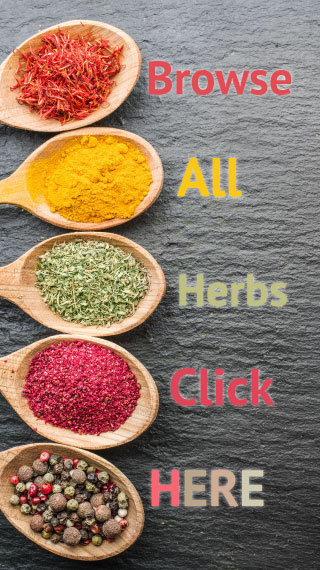 browse all herbs click here