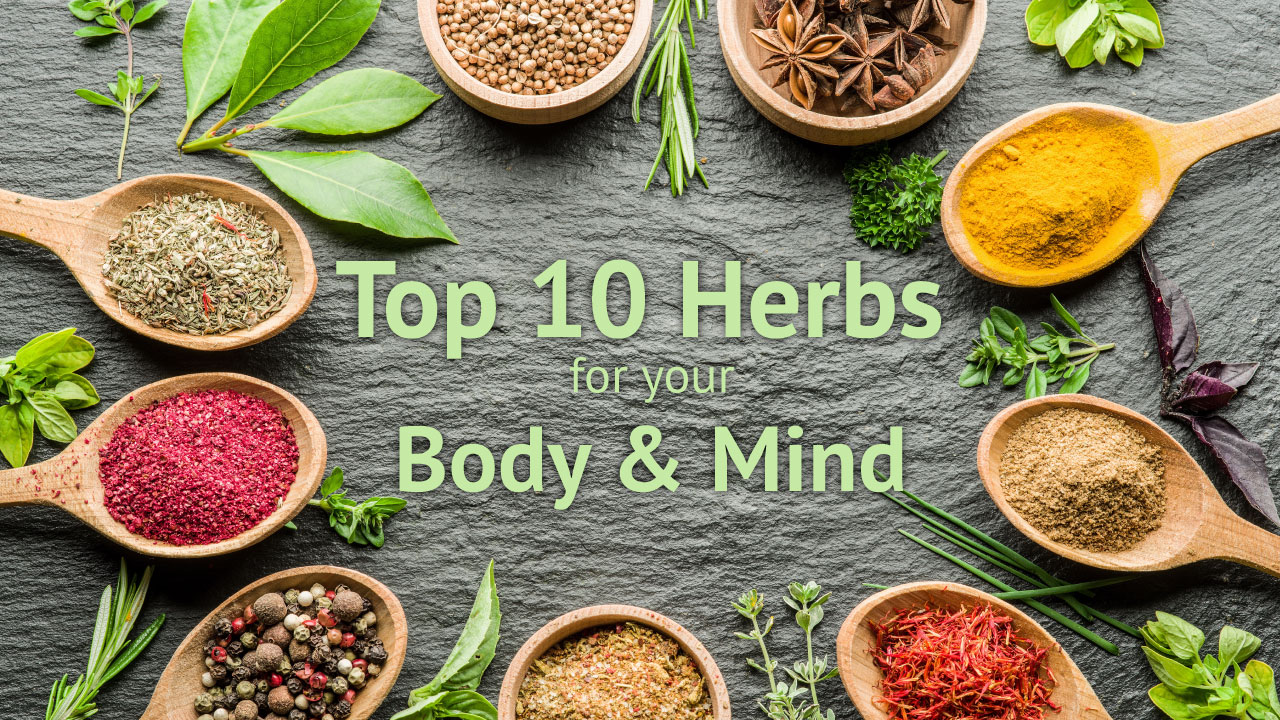 top 10 herbs for botanic choice