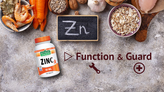 foods with zinc function and guard