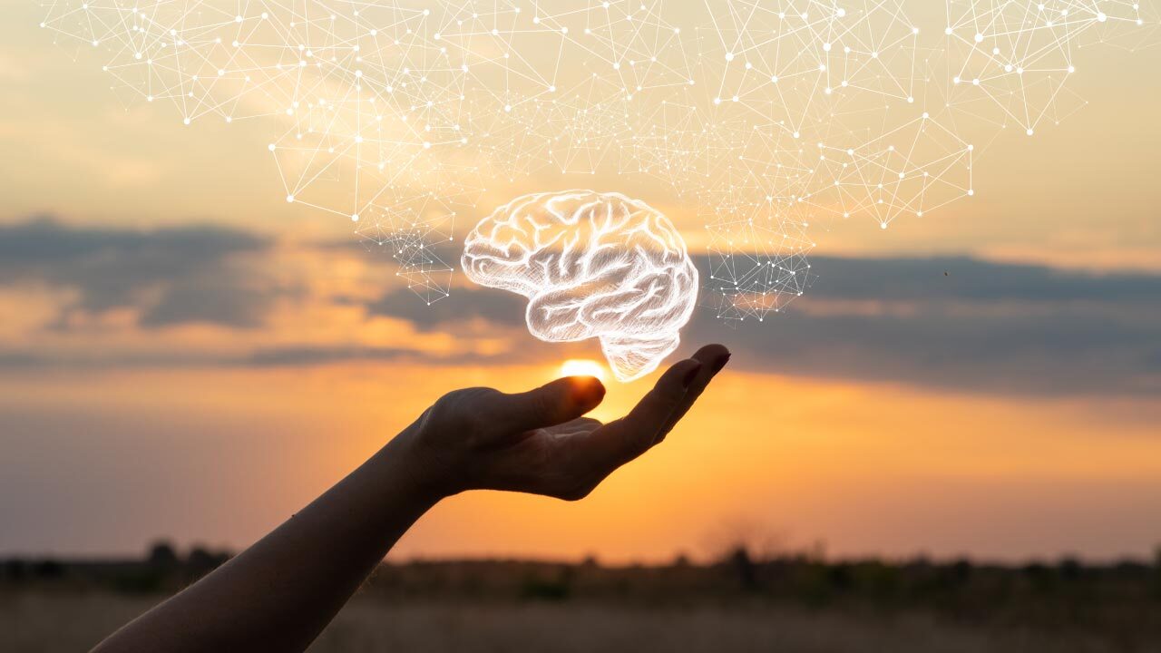 Brain Ingredients to Blow Your Mind
