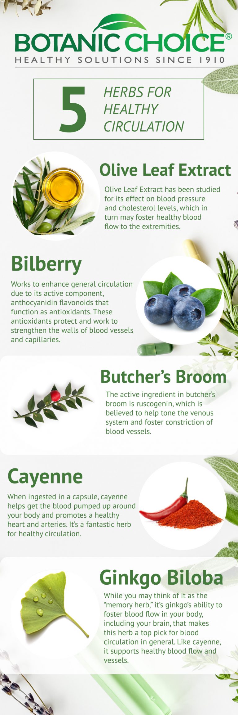 5 Herbs for Healthy Circulation Botanic Choice