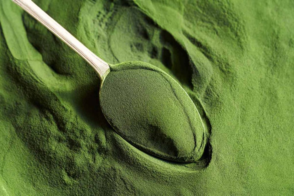 green tea as an antioxidant