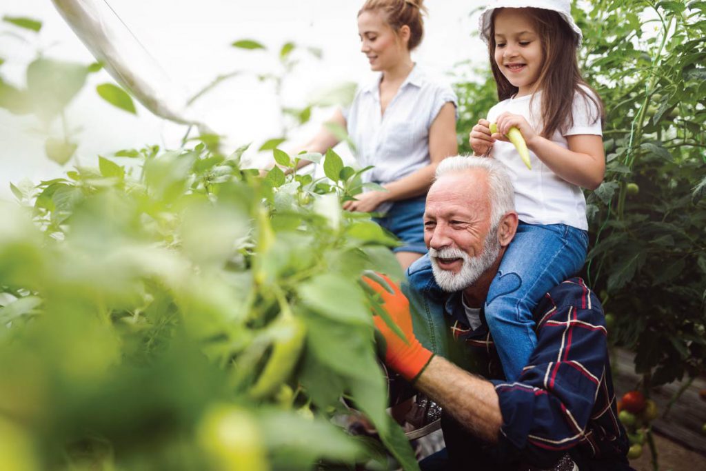 man farming garden with family that contains nutrients like Niacin