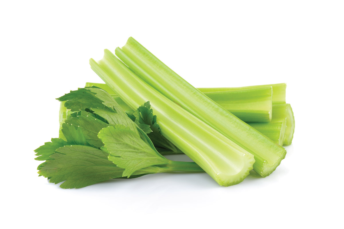 4 Things You Should Know About Celery Seed Botanic Choice