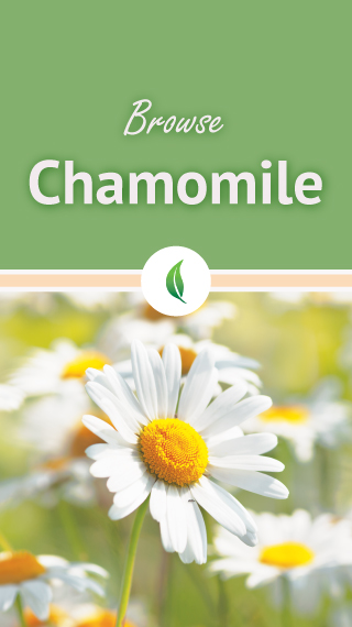Browse Chamomile
