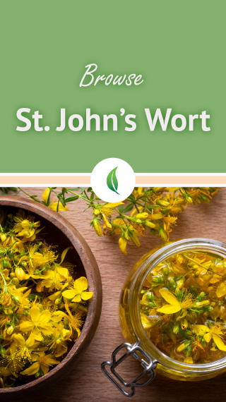Browse St. John's Wort