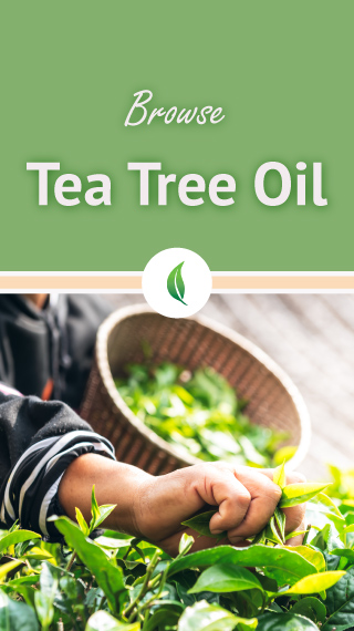 browse tea tree oil