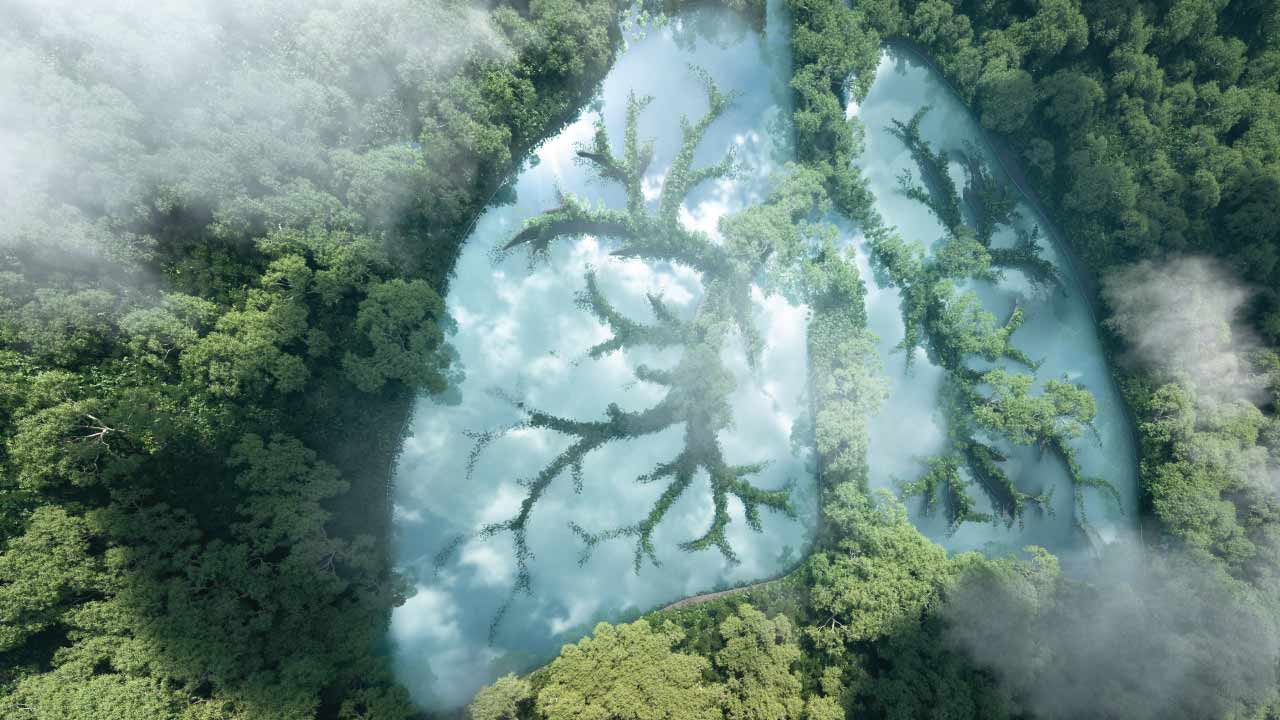 respiratory forest