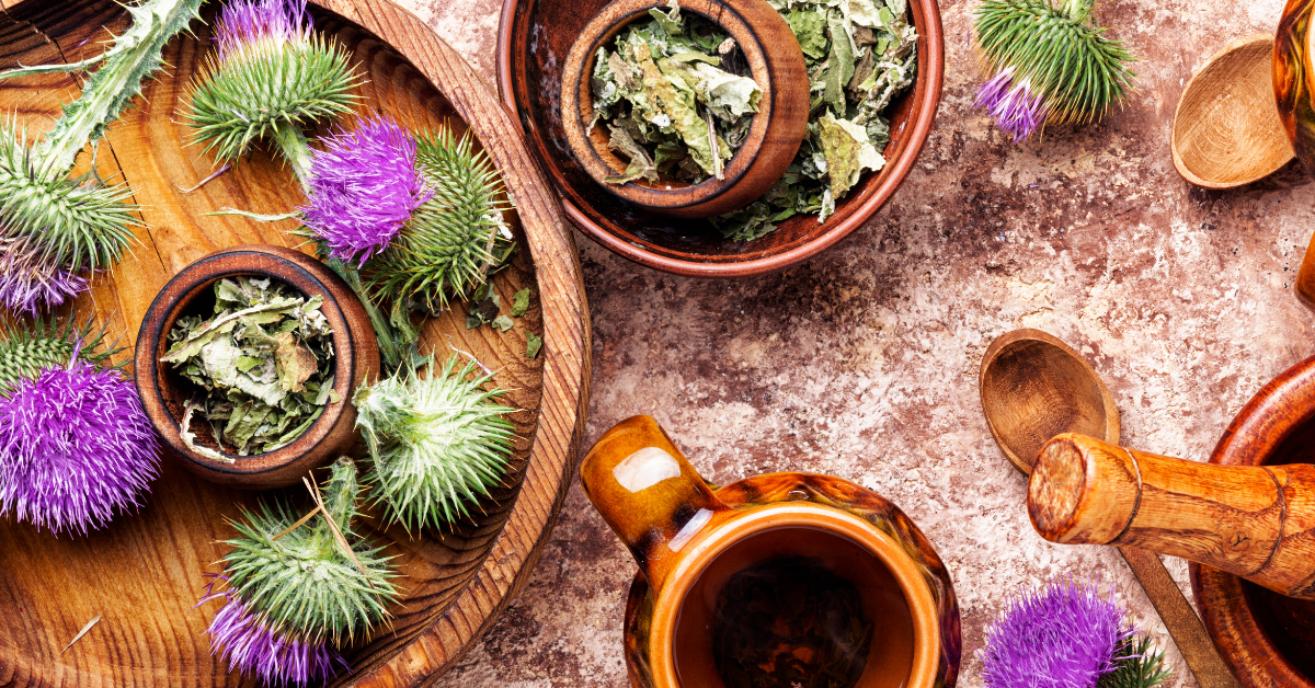 Milk Thistle &#8211; 8 Basics Your Liver Will Love