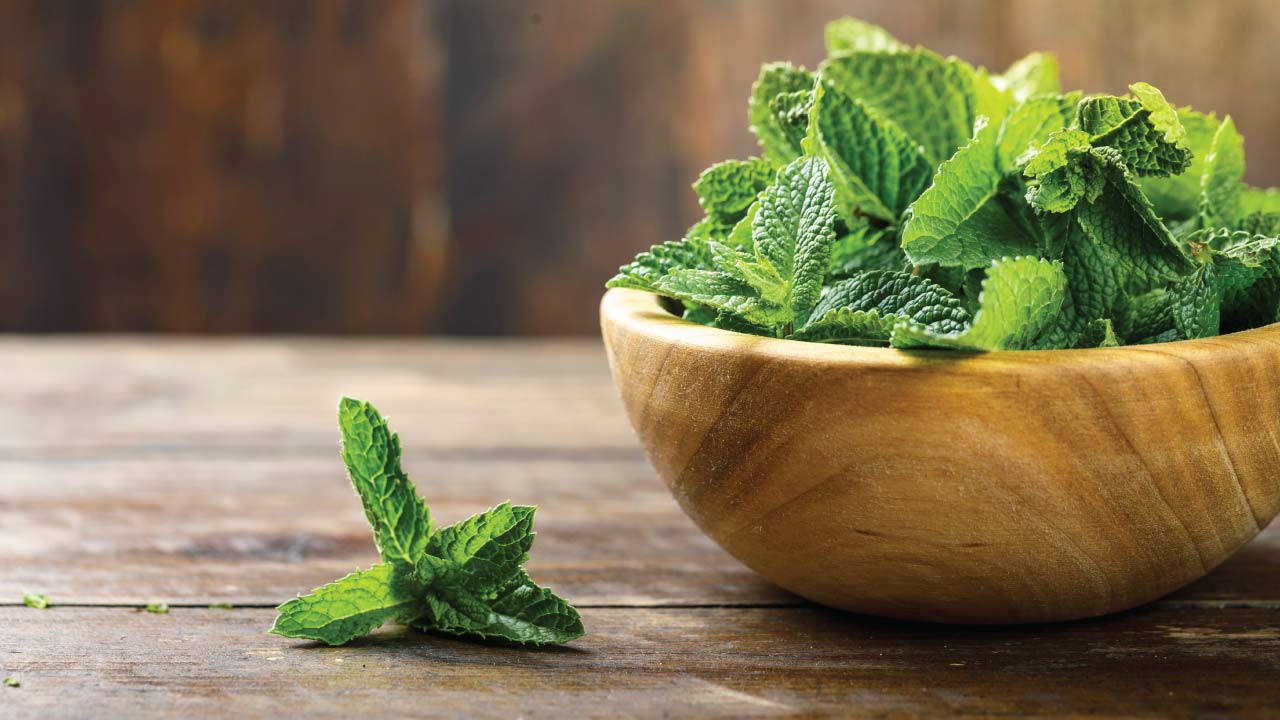 spearmint in a bowl