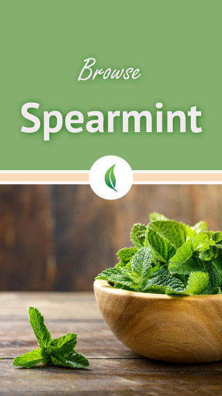 browse spearmint