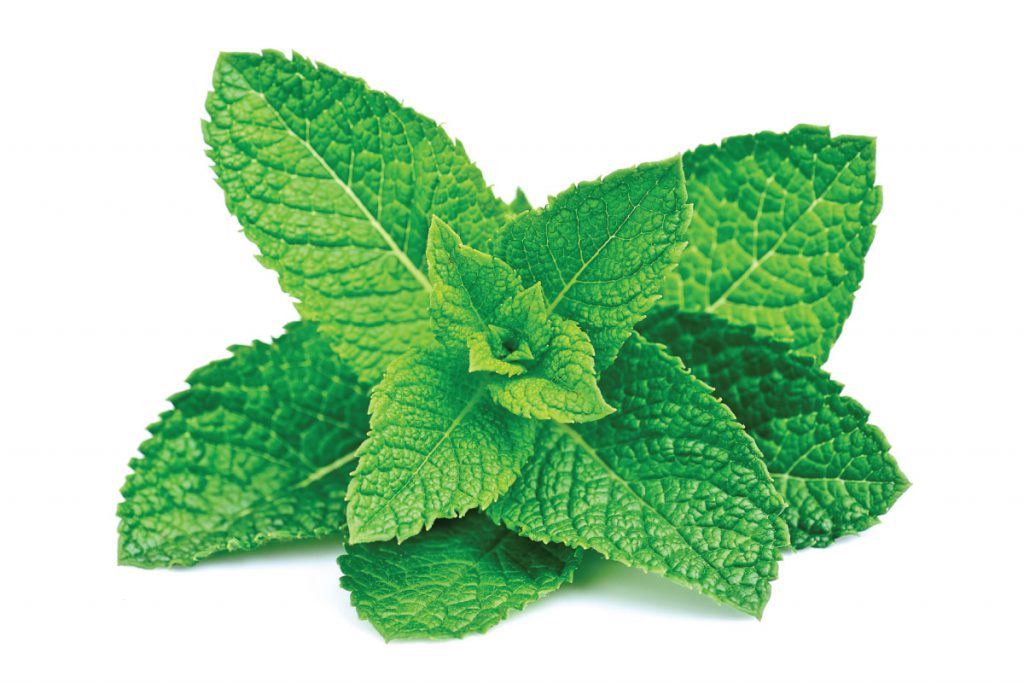 peppermint leaves