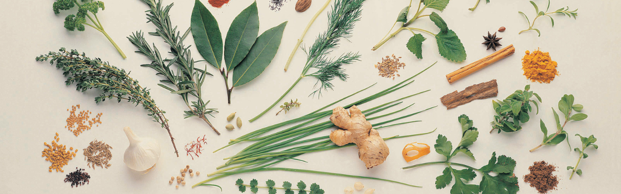 Top 10 Herbs for Your Body & Mind