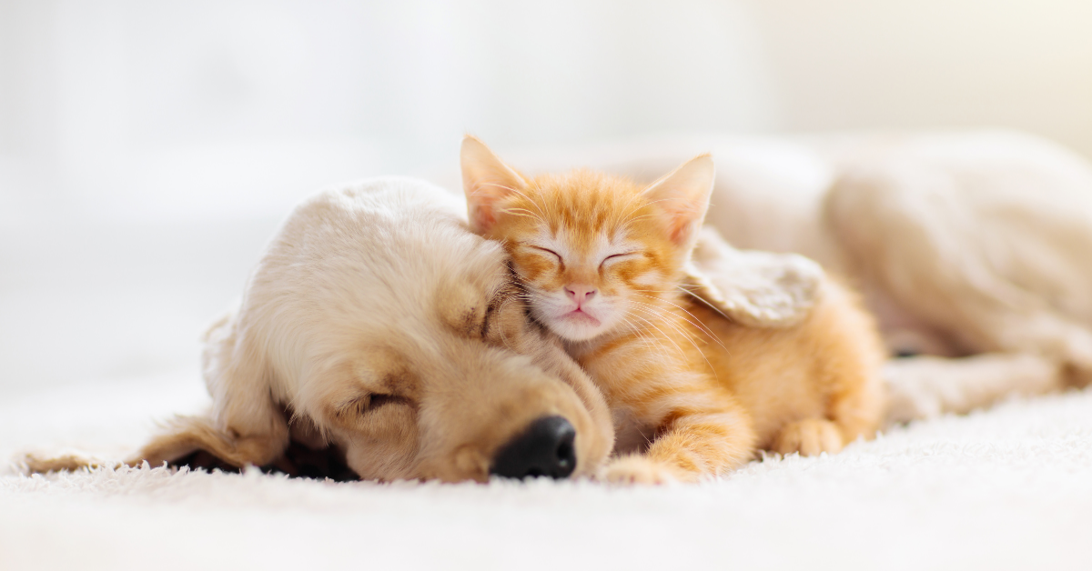 Do’s and Don’ts for Getting a Good Night’s Sleep
