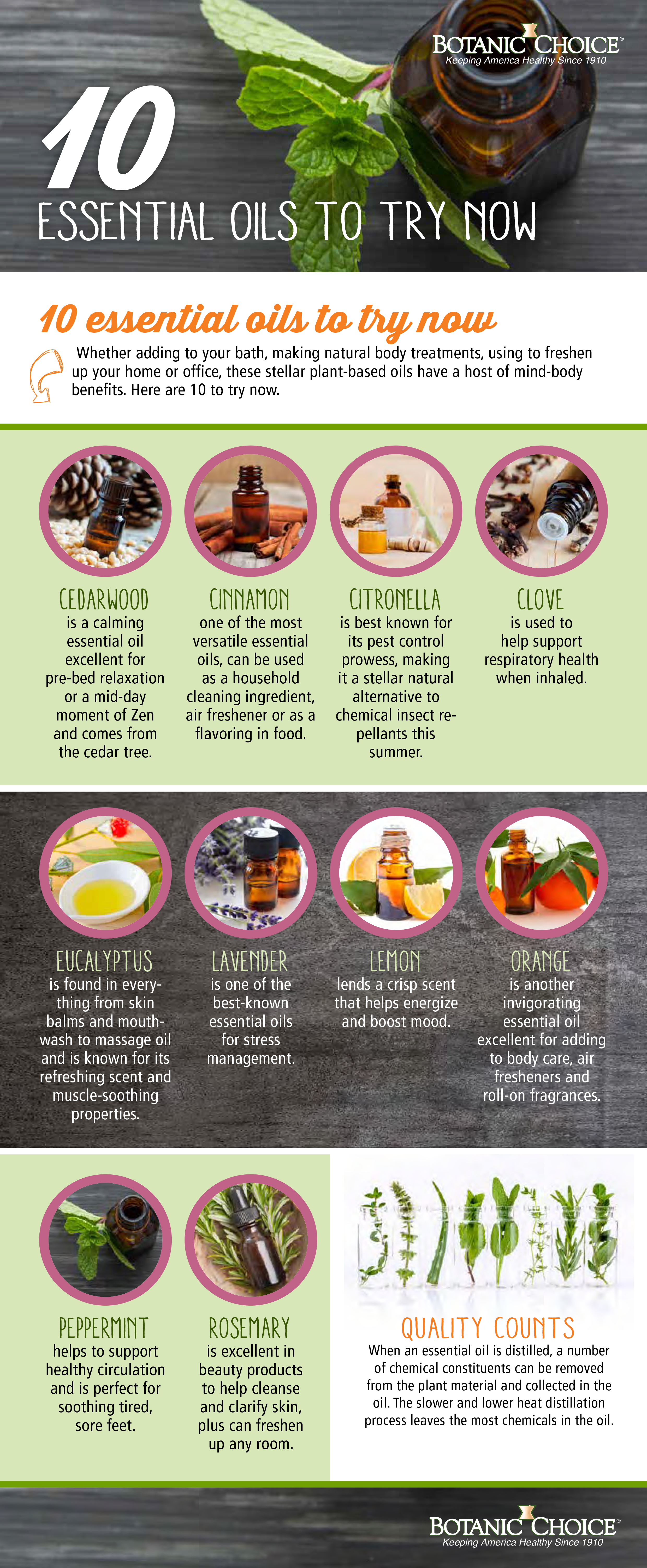 10 essential oils to try now are cedarwood, cinnamon, citronella, clove, eucalyptus, lavender, lemon, orange, peppermint, and rosemary.