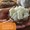 Coconut Oil, Organic 1000 mg.-lifestyle-image-8