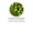 Saw Palmetto Extract 160 mg-lifestyle-image-4