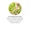 Oil of Oregano Extract 1500 mg.-lifestyle-image-4