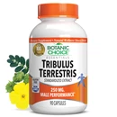Botanic Choice - Tribulus Terrestris 250 mg. - 90 capsules