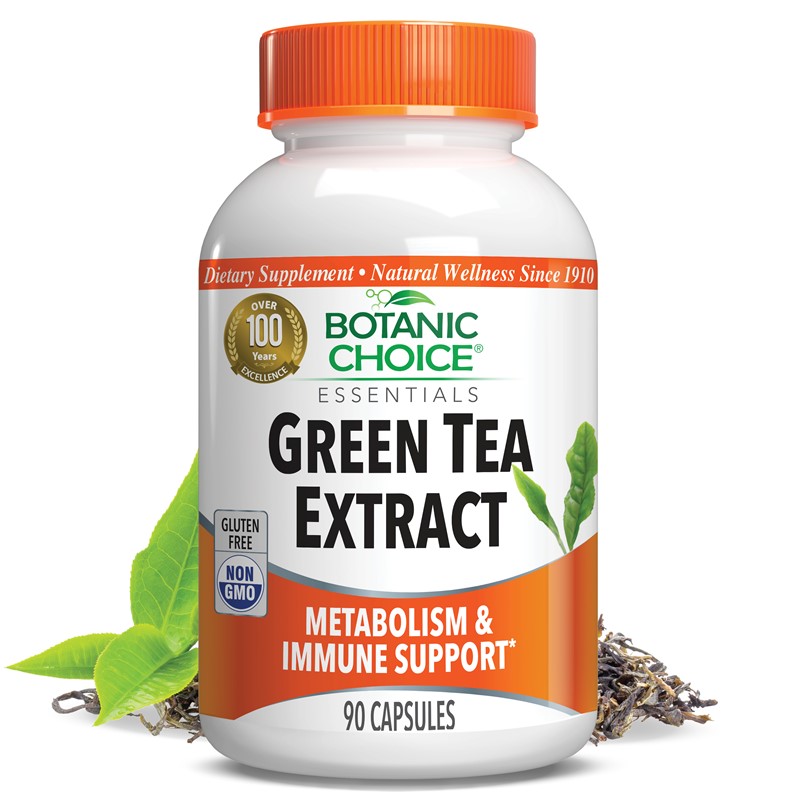 Where To Buy Green Tea Extract Buy Green Tea Extract 500 mg. - 90 Capsules - Botanic Choice