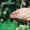 Herbal Water Balance&trade;-lifestyle-image-7