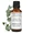 Eucalyptus Essential Oil-lifestyle-image-2