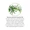 Rosemary Moroccan Essential Oil-lifestyle-image-4