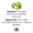 Lime Essential Oil-lifestyle-image-2