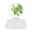 Oil of Oregano Liquid Extract-lifestyle-image-5