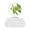 Oil of Oregano Liquid Extract-lifestyle-image-5