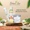 Sweet Almond Carrier Oil-lifestyle-image-5