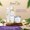 Eucalyptus Massage Oil-lifestyle-image-4